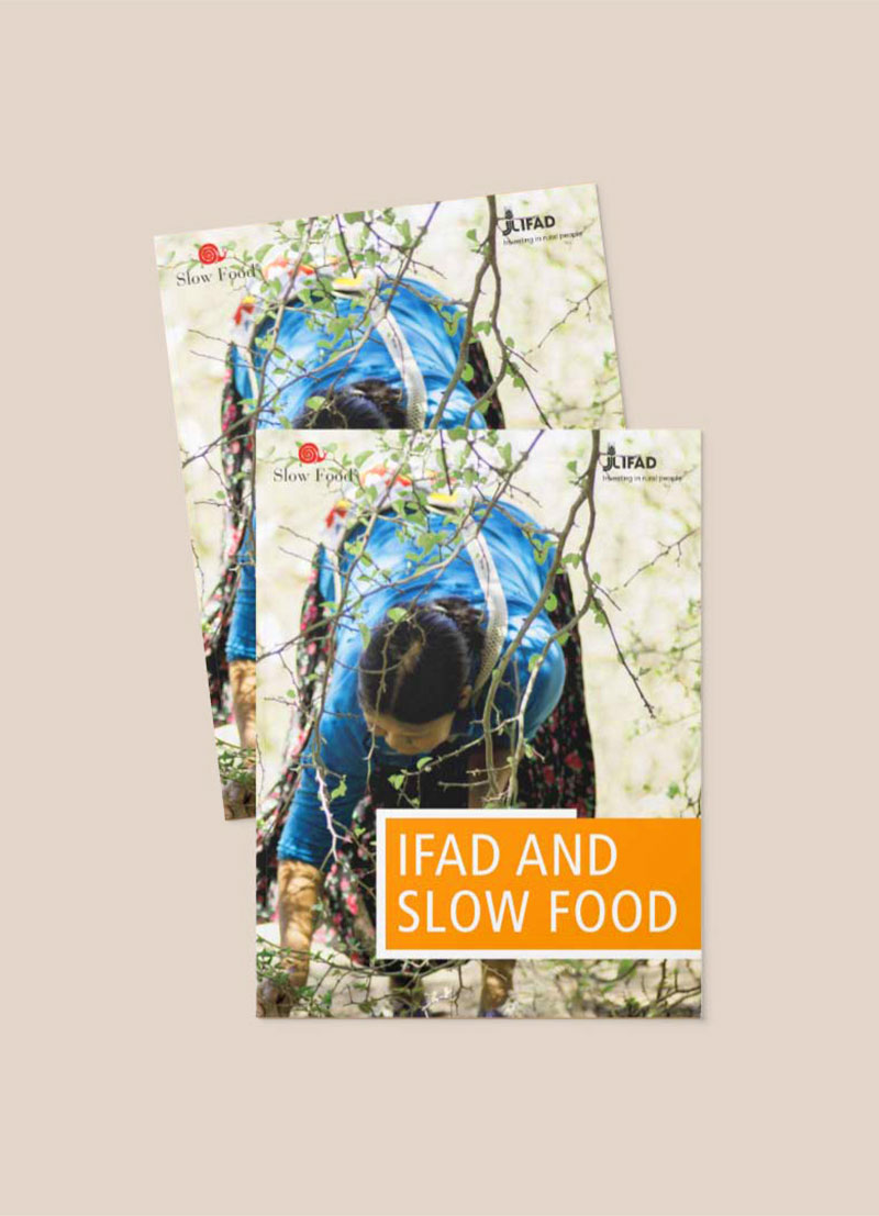 Ifad and Slow Food Booklet